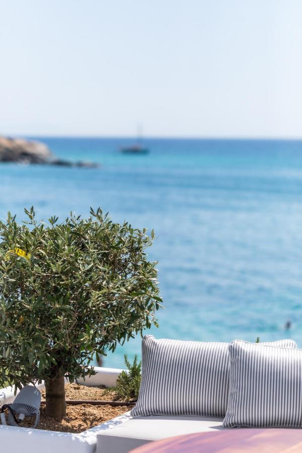 Santana Agia Anna (Naxos)